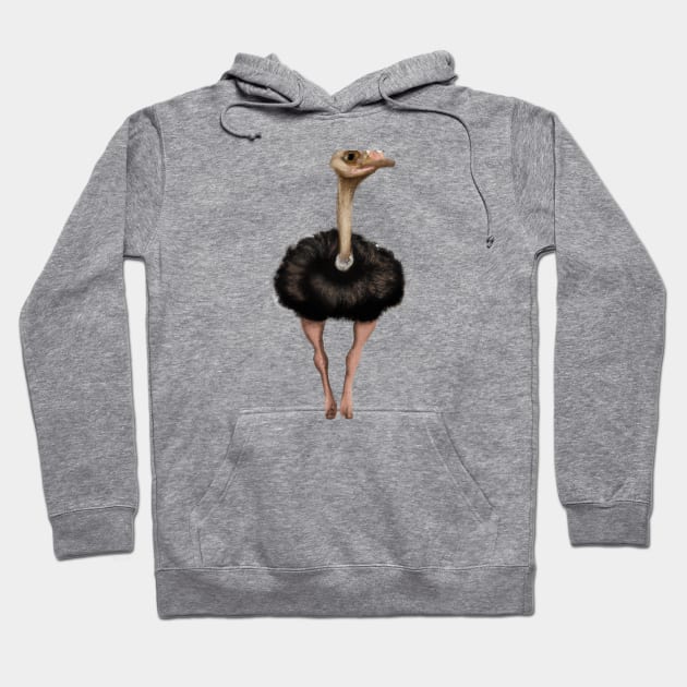 Cute Ostrich Drawing Hoodie by Play Zoo